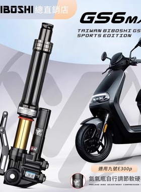 比博士GS6MAX倒置前减震33芯适用九号E300P FXT FX M395C+MZ避震