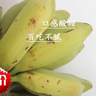 广西牛蕉大蕉大芭蕉牛角蕉板蕉广西特产5斤新鲜无催熟剂冬天偏小