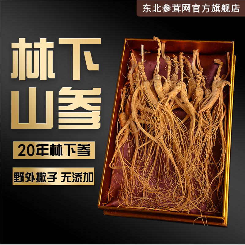 东北特产人参长白山林下山参20年干参林下参籽移山参礼盒装泡酒