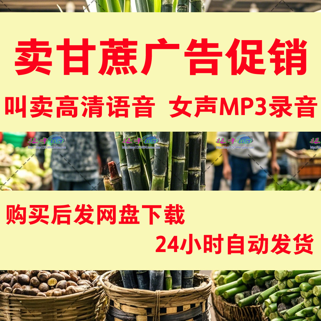 卖甘蔗广告宣传促销叫卖顺口溜定软音源