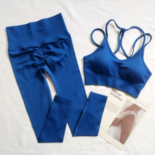 网红气质健身运动长裤 专业高端时尚 文胸夏天好看 女夏季 瑜伽服套装