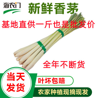 不带叶新鲜柠檬香茅草 无叶柠檬草 泰国冬阴功汤调料 香茅