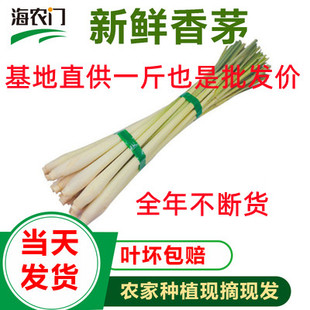新鲜柠檬香茅草 柠檬草 泰国冬阴功汤调料 香茅