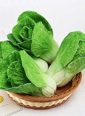 蔬菜饭店餐厅橱窗摄影道具装饰品