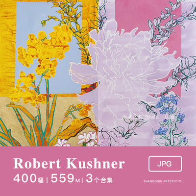 罗伯特·库什纳Robert Kushner｜美国当代抽象拼贴装饰画素材图库