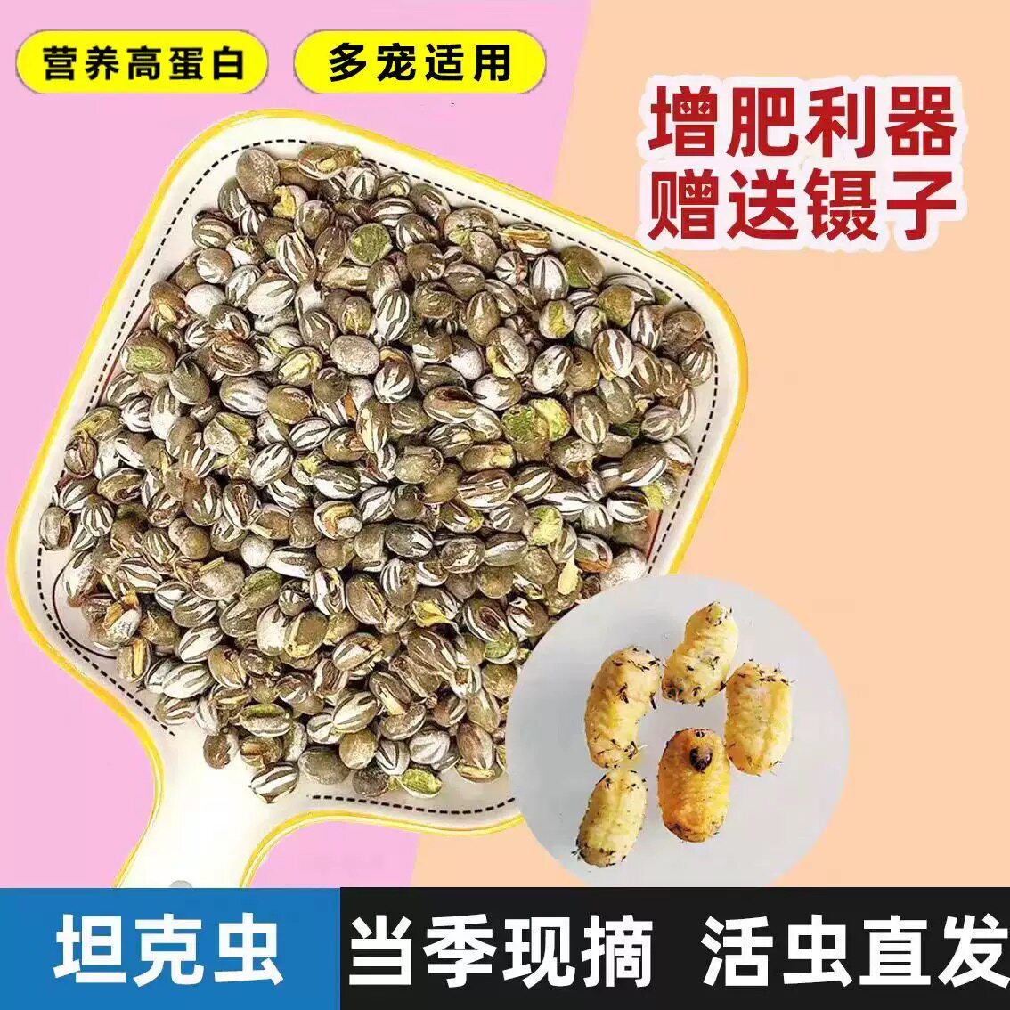 坦克虫蜜袋鼯零食仓鼠零食金丝熊通心粉花枝鼠高蛋白杨拉罐增肥粮