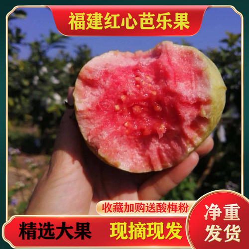 新鲜水果红心芭乐番石榴