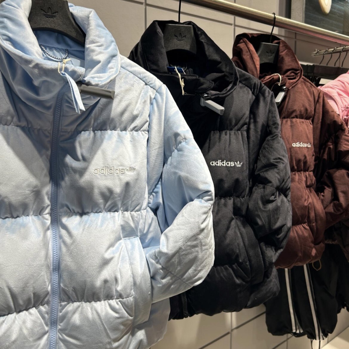 Adidas三叶草 女子运动休闲潮流短款丝绒羽绒服外套IW8437 IW8439