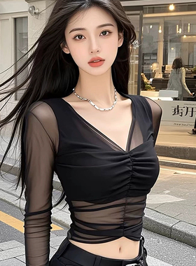 夏季黑色V领网纱短款上衣时尚纯欲风性感V领T恤女长袖打底衫内搭