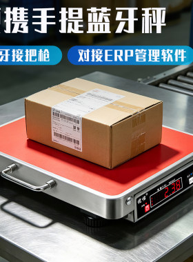 便携式手提蓝牙秤快递专用
