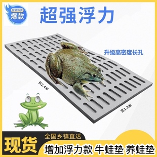 鹏辉环保加厚养殖工具牛蛙浮垫甲鱼垫小四脚垫浮力板牛蛙垫