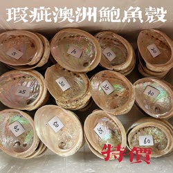 福利回馈链接3~天然澳洲鲍鱼贝壳DIY创意香皂盒装饰品鼠尾草器具