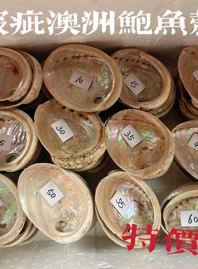 福利回馈链接3～天然澳洲鲍鱼贝壳DIY创意香皂盒装饰品鼠尾草器具