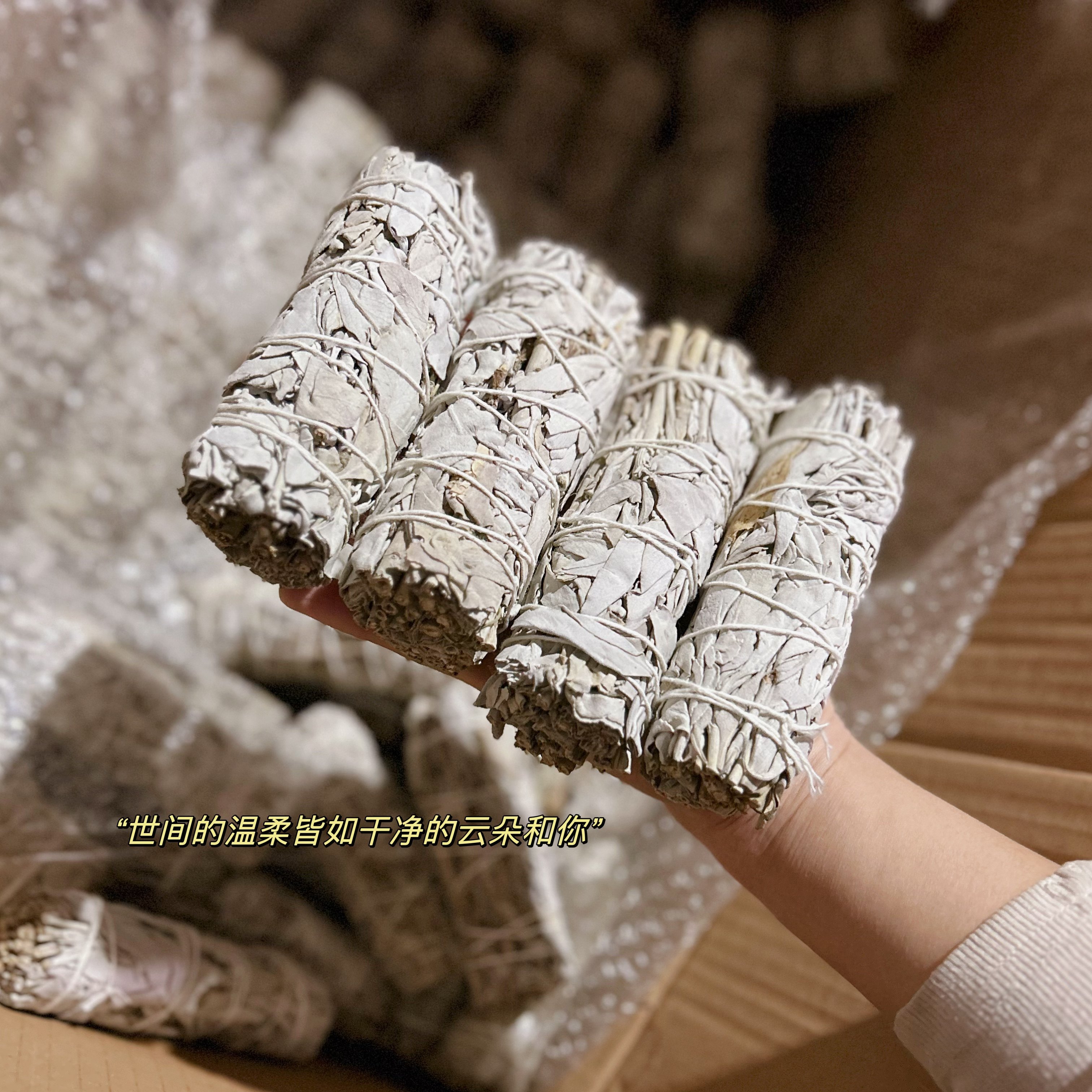 长10-11cm天然鼠尾草WhiteSage正宗美国加州进口精选净化空气