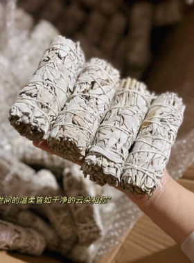 长10-11cm天然鼠尾草WhiteSage正宗美国加州进口精选净化空气