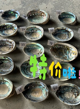 全新特价瑕疵品新西兰黑金鲍鱼壳炫彩蓝白鼠尾草燃烧烧盘工具净化