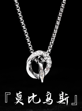 MAGICPOLE双环项链男款高级感