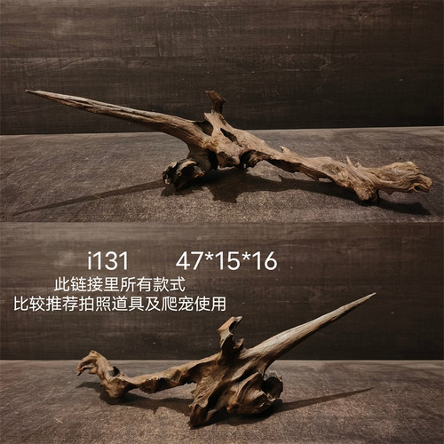 精品沉木鬃狮蜥蜴蛇爬虫专用躲避