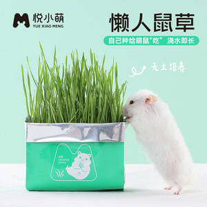悦小萌仓鼠粮食营养辅助饲料懒人鼠草无土水培金丝熊助消化小零食