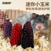 仓鼠粮食迷你小玉米仓鼠金丝熊兔子磨牙棒玉米兔子龙猫磨牙小玉米