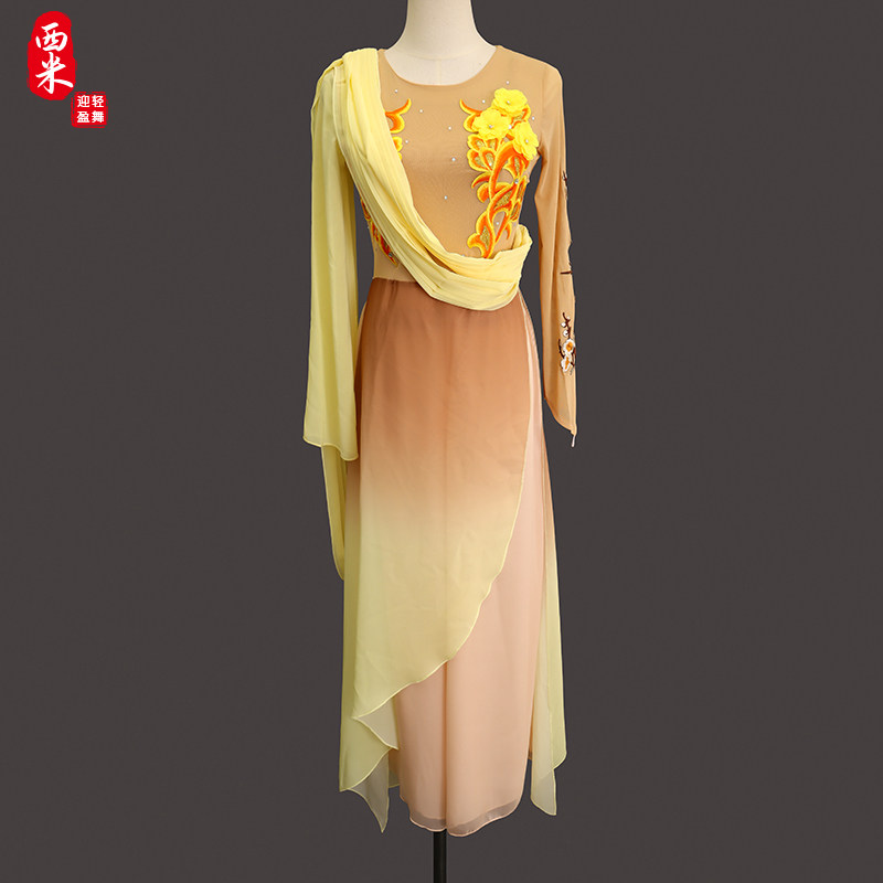 2020新款艺考服古典舞蹈演出服寒依疏影同款独舞桃李杯演出服定制