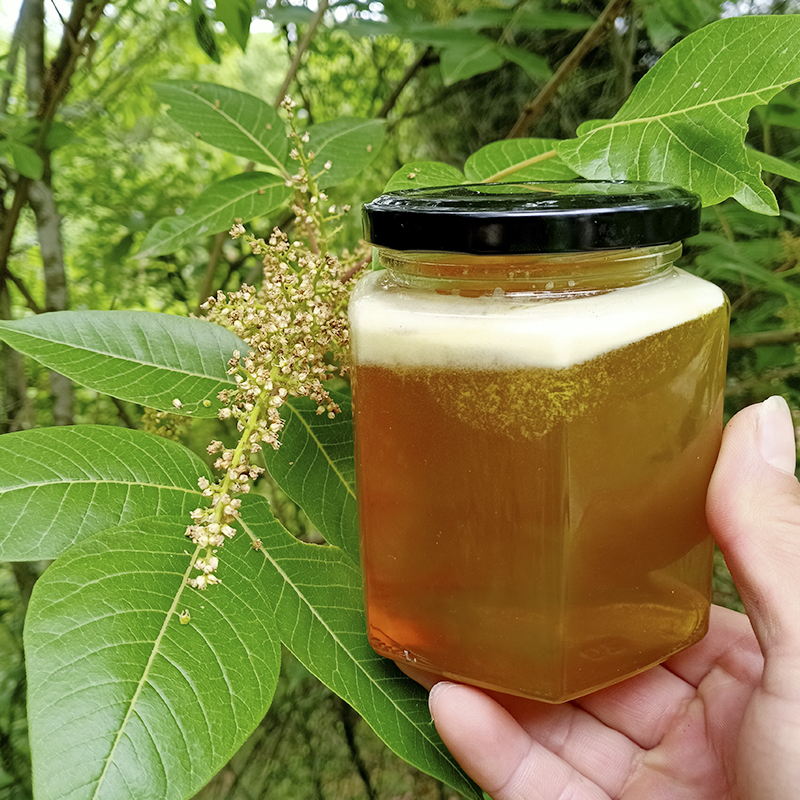 蜜蜂早安 纯正天然土蜂蜜五倍子蜜 枣花蜜 洋槐蜜 枇杷蜜