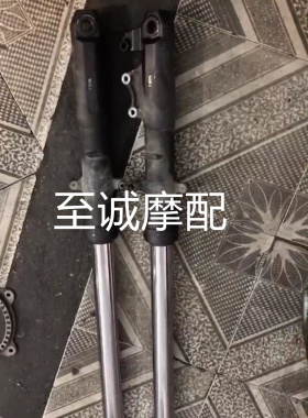 适用于川崎小异兽Versys-X250 300X前避震器 前后减震 前倒置减震