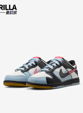 Nike/耐克正品春季新款GS女子大童复古低帮板鞋FJ2687-100