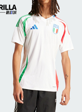 Adidas/阿迪达斯正品FIGC A JSY男士足球运动短袖球衣IN0656