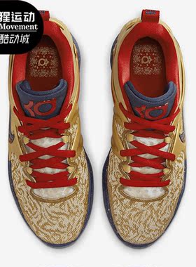 Nike/耐克正品KD15 EP 男子运动网眼透气篮球鞋DM1054-700