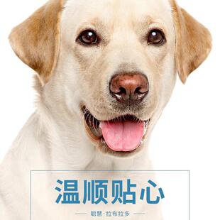 欧卡曼欧卡曼狗粮40斤金毛拉布拉多边牧德牧柯基泰迪幼犬成犬通用