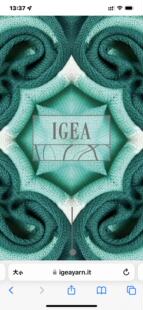 夏日里也舒爽凉快 意大利IGEA纱 宽螺纹POLO 尾少量 人手