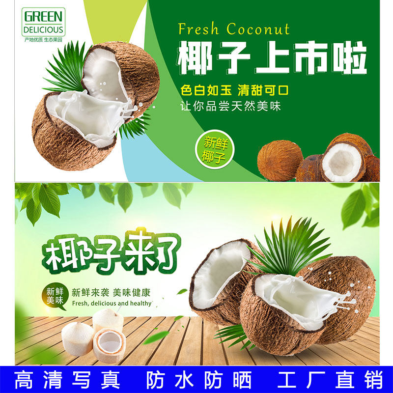 新鲜青椰子贴画砂糖橘贴纸自粘水软装墙贴