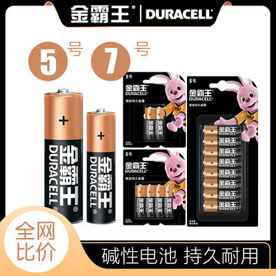 Duracell Plus Power AA, AAA, 9v Alkaline Batteries Lr03 Lr6