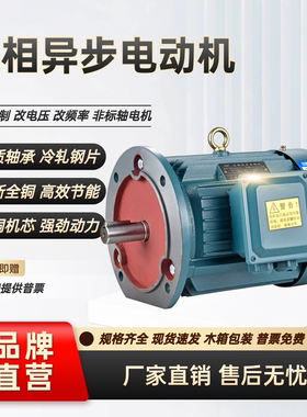 三相电动机Y100L-2 3KW/1.5/2.2/YE3-100L2-4 3KW全新铜马达380V