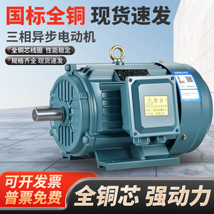 三相异步电动机Y132S2-2 7.5KW Y132M-4 7.5KW三相全铜电机380V