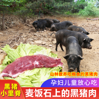 国产宝宝辅食生鲜里脊肉