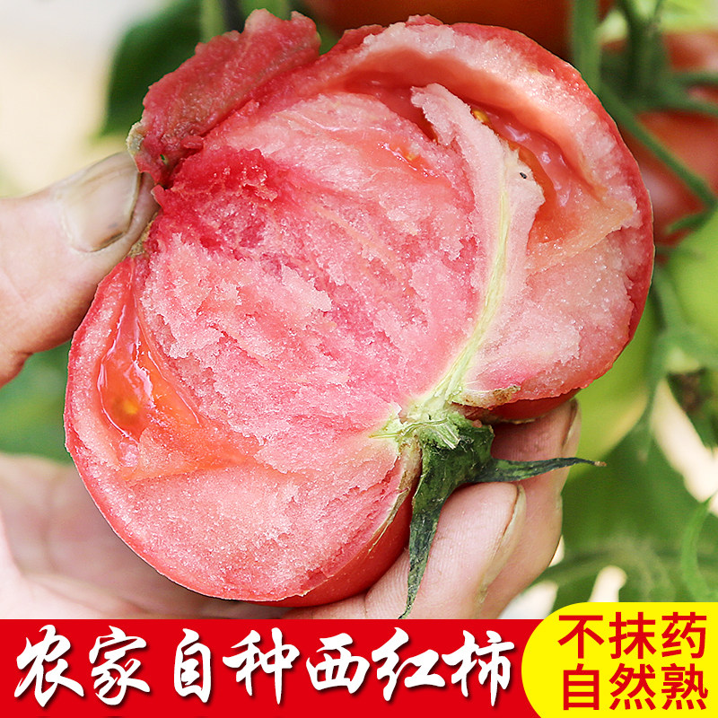 密云农家 沙瓤带籽 西红柿番茄 一口爆汁自然熟 孕妇生吃新鲜蔬菜