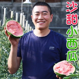 现摘手剥纸皮西瓜 皮薄多汁 薄皮吊秧迷你小西瓜L600 2枚约5斤
