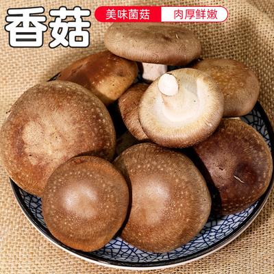 农家当日现采香菇肉质鲜嫩