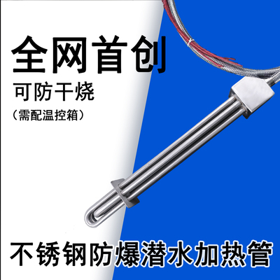 大功率防爆潜水加热管