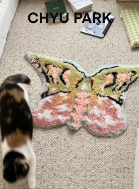 CHYU PARK澄园少女多巴胺艺术地毯蝴蝶加厚家用儿童房衣帽间地垫