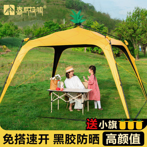 喜马拉雅黑胶穹顶天幕铁杆不伤手