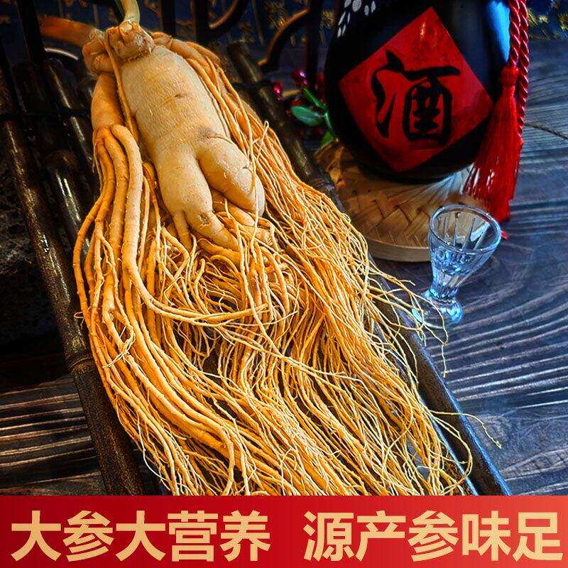 【保鲜人参】长白山人参东北特产新鲜人参泡酒鲜参