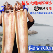 大鳗鱼干淡晒整条中段切块宁波舟山特产风半干咸海鳗鱼鲝海鲜年货