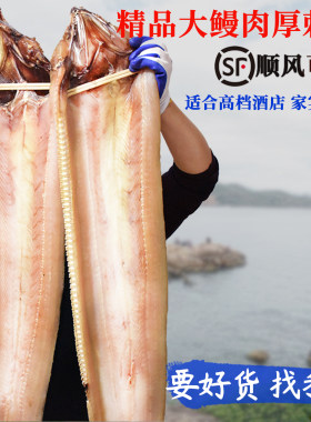 舟山特大鳗鱼干整条中段淡晒半干