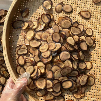 长白山鹿茸