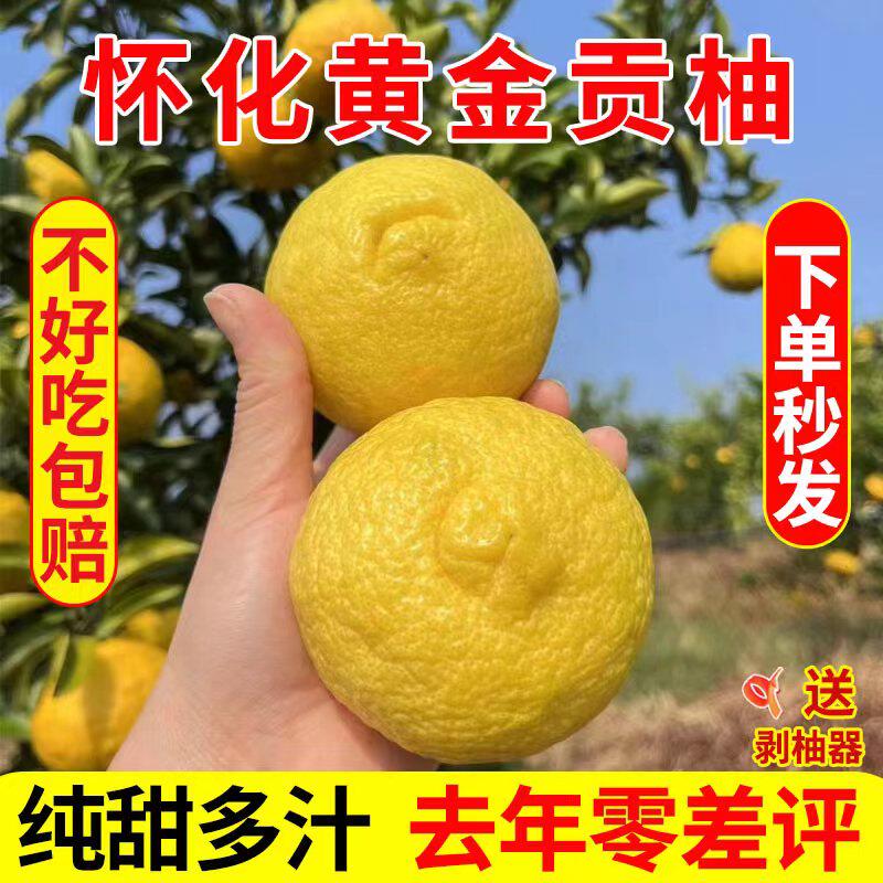怀化洪江黄金贡柚象山青桔柚春香桔柚爆甜湖南小柚子爆汁新鲜水果