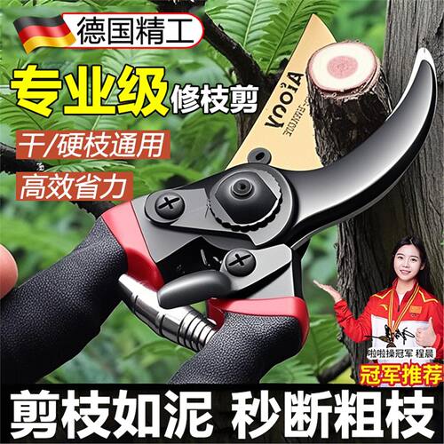 园艺修枝剪专业级艺园剪刀剪枝条专用高效省力果园林园新款花园剪
