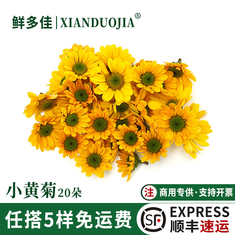 新鲜小黄菊黄雏菊小菊花装饰鲜花